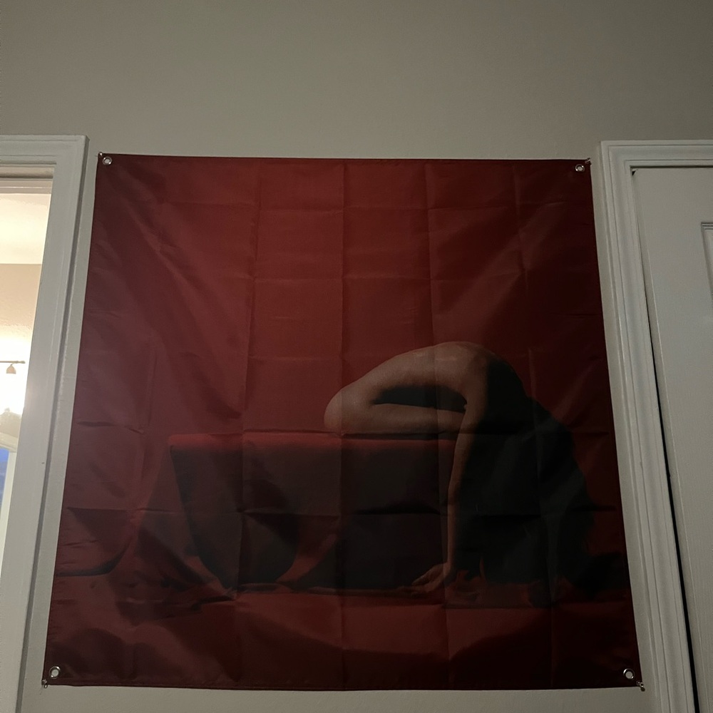 Bad Omens TDOPOM Wall Flag